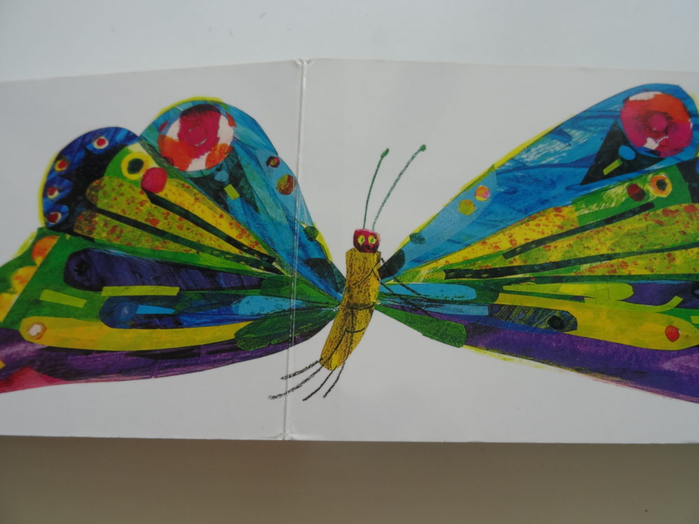 bardzo-glodna-gasienica