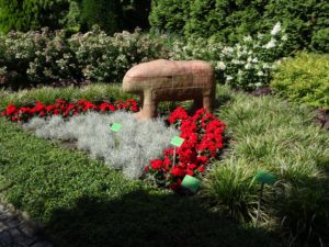 ogród botaniczny we Wrocławiu