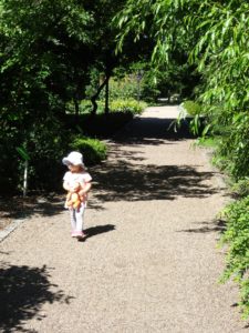 ogród botaniczny we Wrocławiu