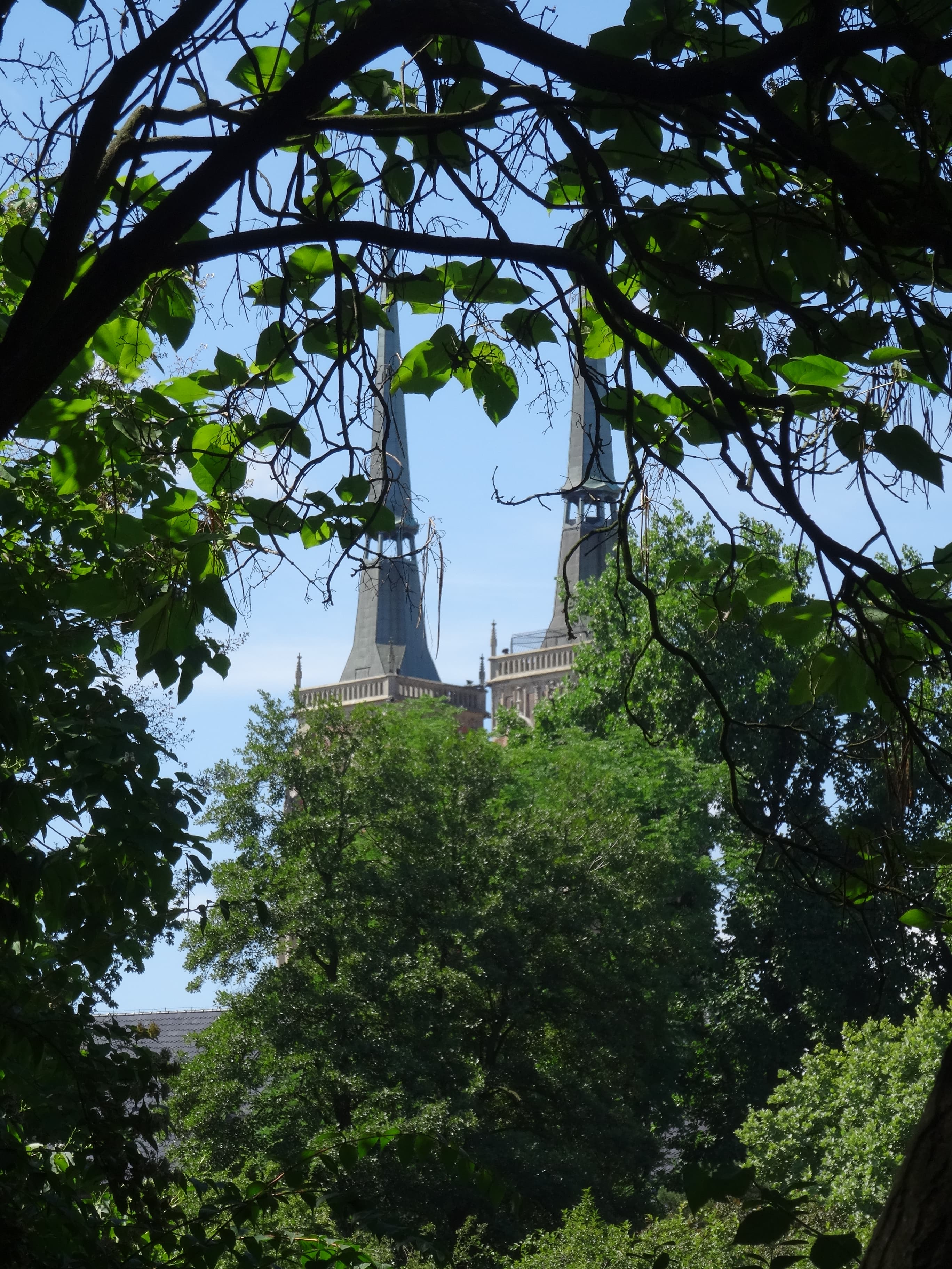 wieże kościoła - ogród botaniczny we Wrocławiu