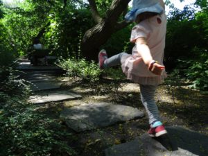 ogród botaniczny we Wrocławiu