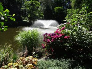 fontanna - ogród botaniczny we Wrocławiu