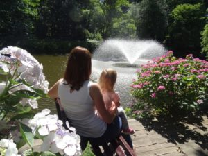 fontanna - ogród botaniczny we Wrocławiu