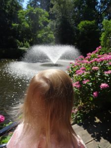 fontanna - ogród botaniczny we Wrocławiu