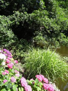 ogród botaniczny we Wrocławiu