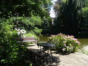 staw - ogród botaniczny we Wrocławiu