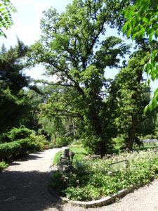 ogród botaniczny we Wrocławiu