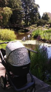 staw, mostek - ogród botaniczny we Wrocławiu