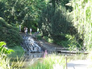 wodospad - ogród botaniczny we Wrocławiu