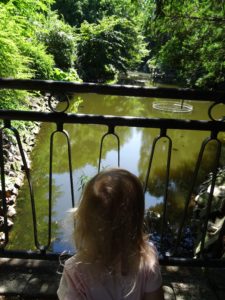 staw - ogród botaniczny we Wrocławiu