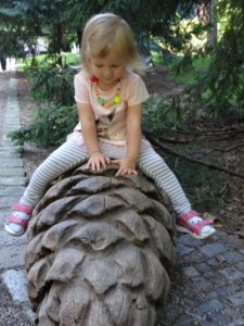 szyszka - ogród botaniczny we Wrocławiu