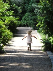 ogród botaniczny we Wrocławiu