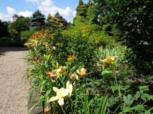 kwiaty - ogród botaniczny we Wrocławiu