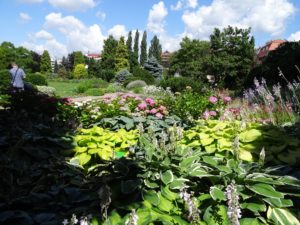 ogród botaniczny we Wrocławiu
