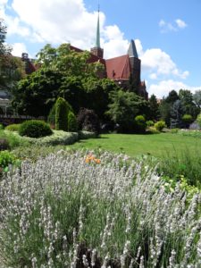 ogród botaniczny we Wrocławiu