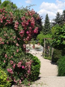 ogród botaniczny we Wrocławiu