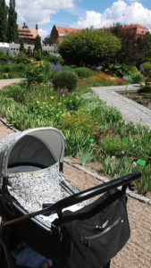 ogród botaniczny we Wrocławiu