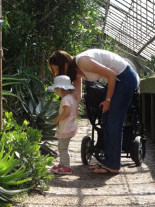 ogród botaniczny we Wrocławiu