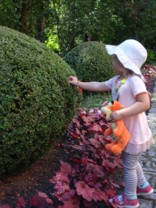 ogród botaniczny we Wrocławiu