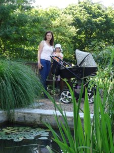 oczko wodne - ogród botaniczny we Wrocławiu