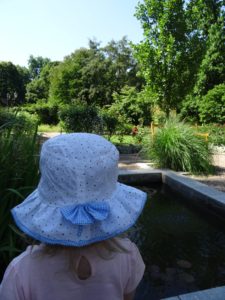 oczko wodne - ogród botaniczny we Wrocławiu