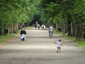 moszna-park-aleja-lipowa