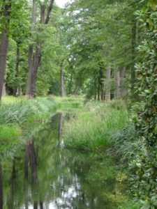 moszna-park-rzeczka