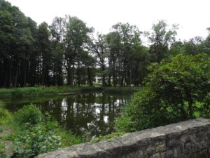 moszna-park-staw