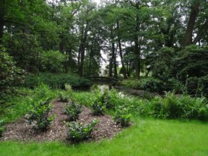 moszna-park-mostek-staw