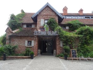 zielona-oliwka-restauracja