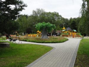 zielona-oliwka-plac-zabaw