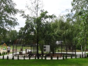 zielona-oliwka-klatka-dla-pawi