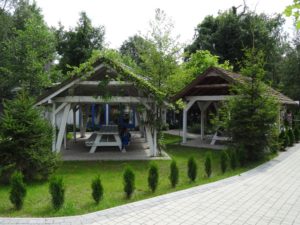 zielona-oliwka-altany