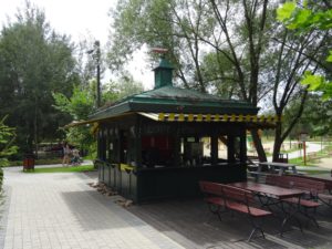 zielona-oliwka-budka-z-lodami