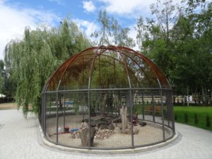 zielona-oliwka-klatka-dla-pawi