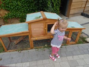 zielona-oliwka-klatki