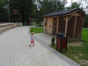 zielona-oliwka-zwierzyniec