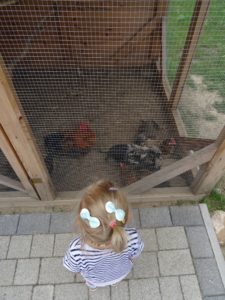 zielona-oliwka-zwierzyniec