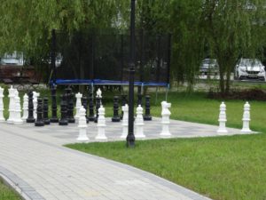 zielona-oliwka-szachy