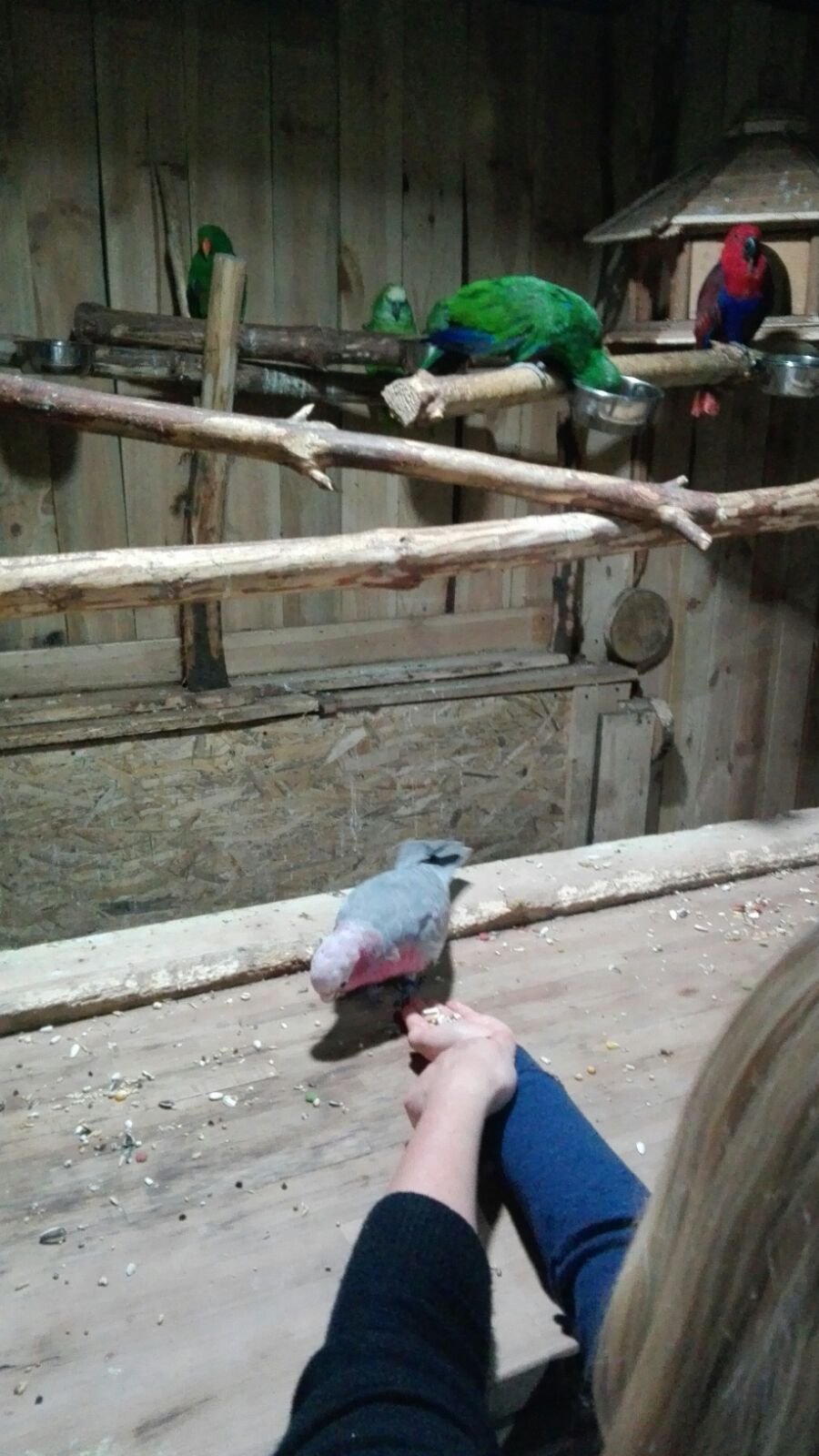 papugarnia-wroclaw