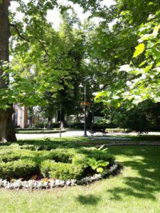 Ogród-Staromiejski-Wrocław