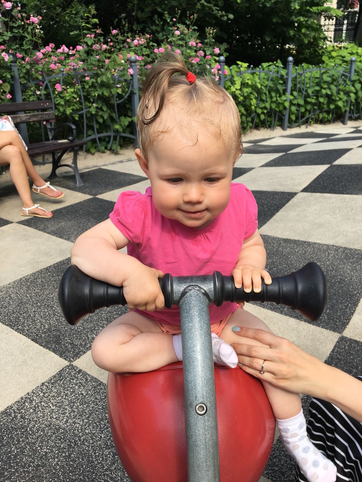 Ogród-Staromiejski-Wrocław