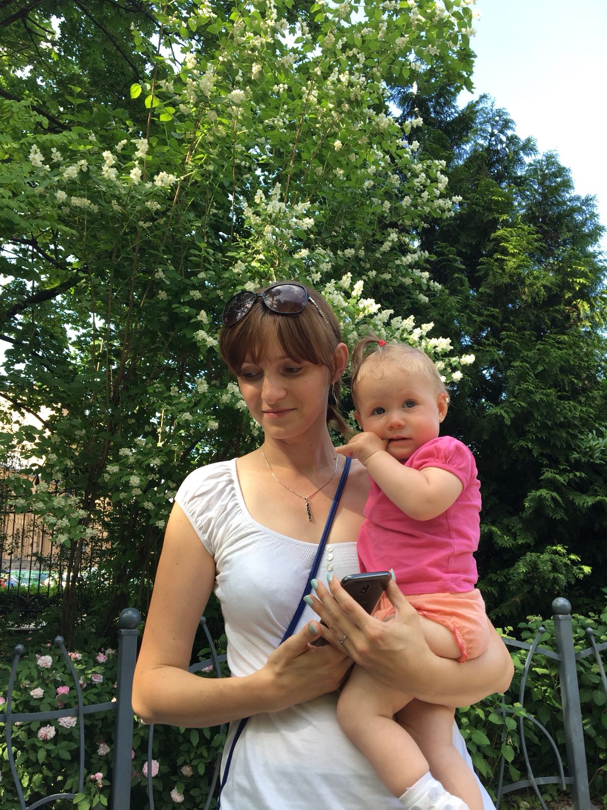 Ogród-Staromiejski-Wrocław