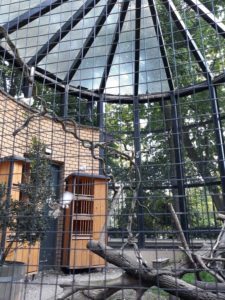 Ogród-Staromiejski-Wrocław