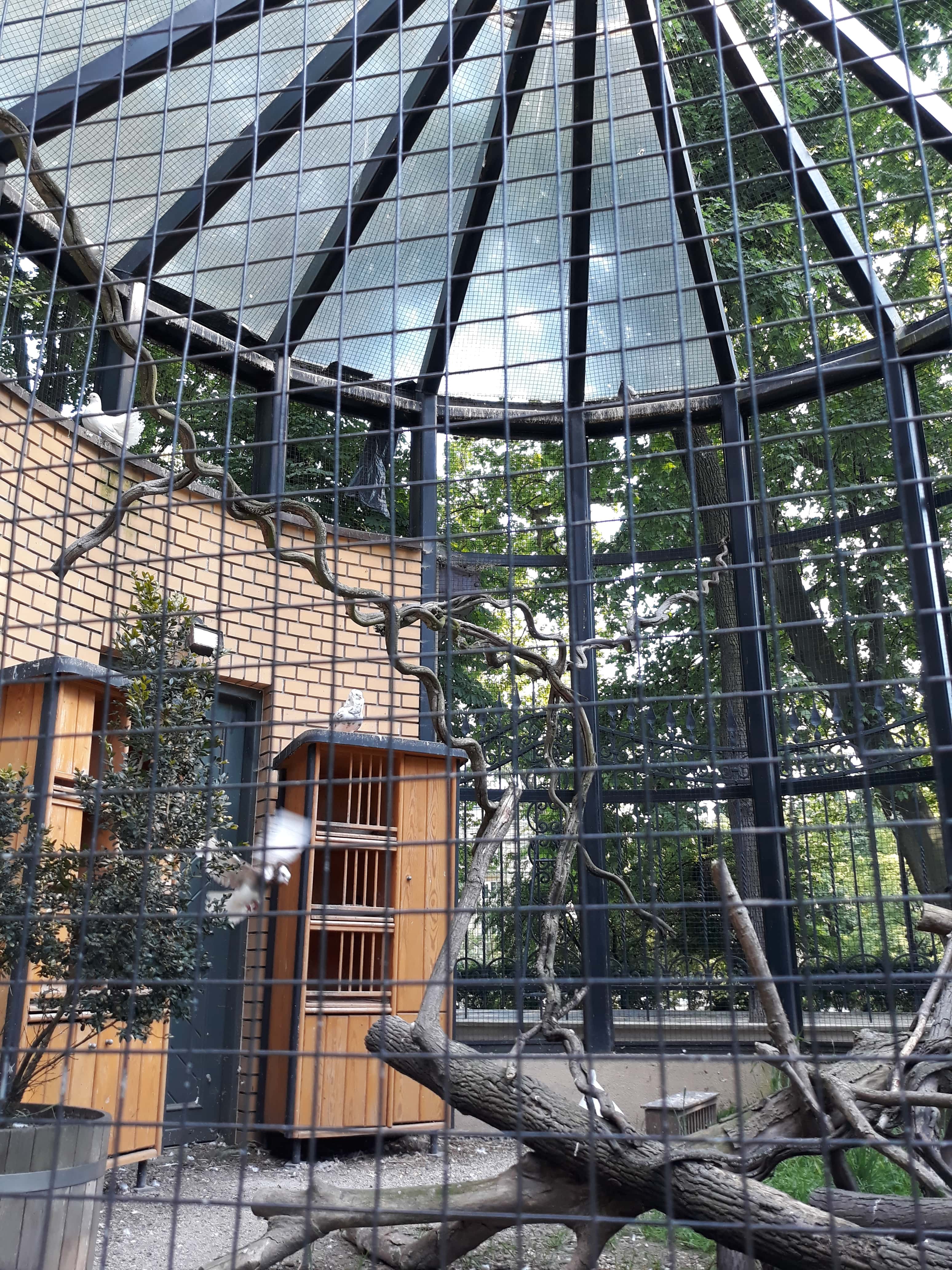 Ogród-Staromiejski-Wrocław