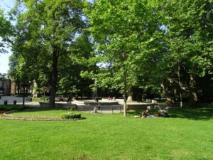 Ogród-Staromiejski-Wrocław