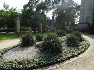 Ogród-Staromiejski-Wrocław