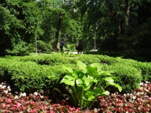 Ogród-Staromiejski-Wrocław