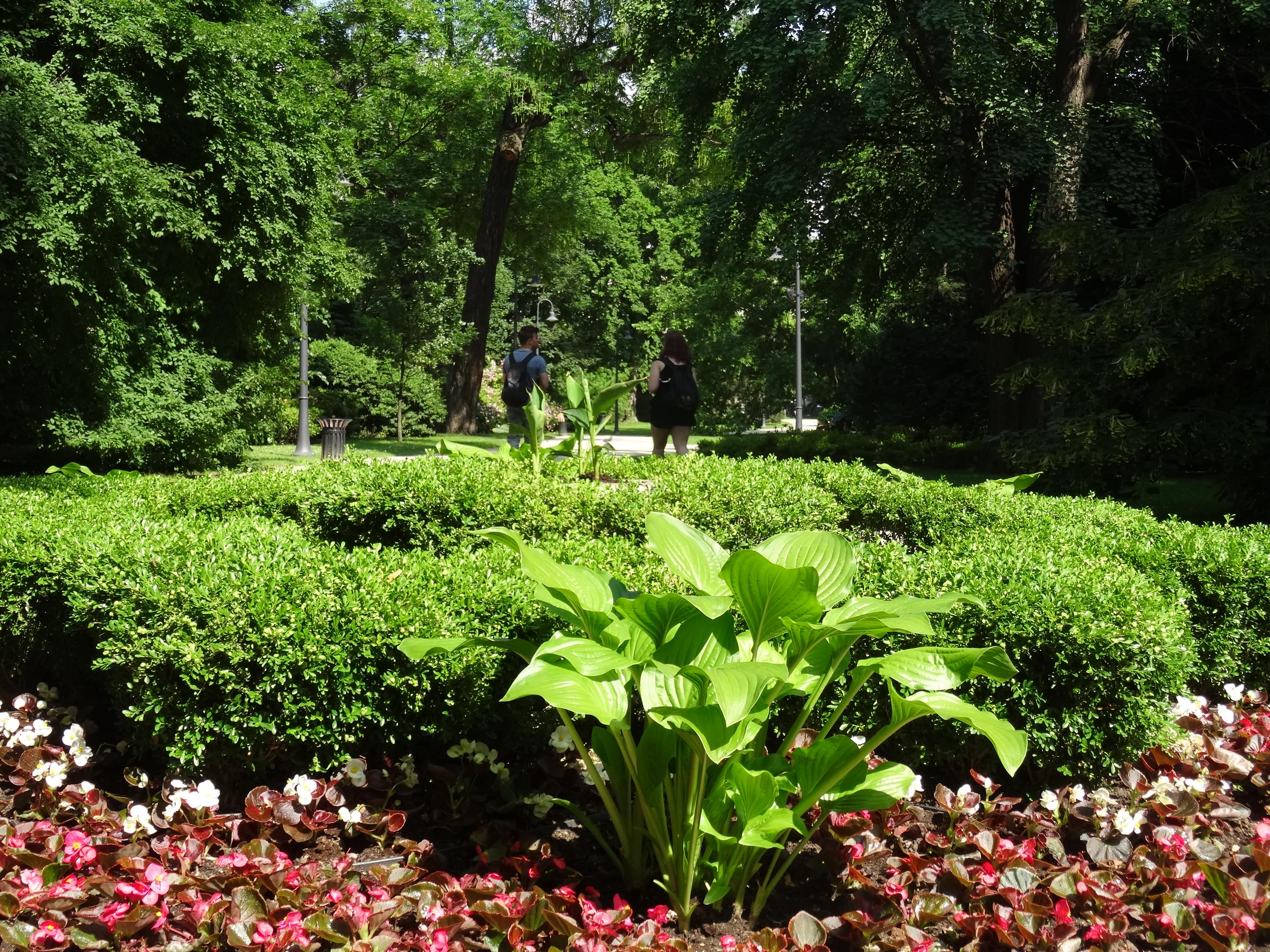 Ogród-Staromiejski-Wrocław