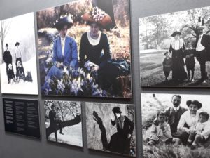 zamek-ksiaz-walbrzych